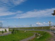 IMG 7484 2