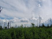 IMG 7527 2