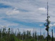 IMG 7528 2