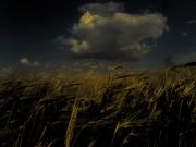 ��������� ����