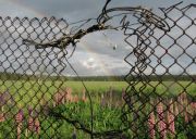 ������ 3