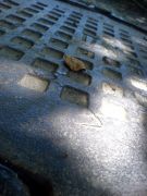 ���! �� �� ������  : )