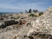 �������� ���