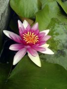 ��������� � ����� 