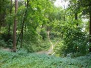 DSC00249
