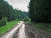 IMG 8890