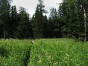 IMG 8946