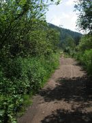 IMG 9071