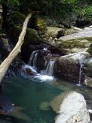 ����� ������ ���� 