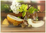 ������ �����