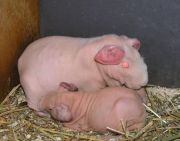 ���� � �����