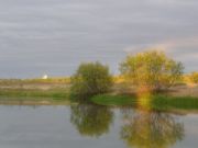 -2008 202