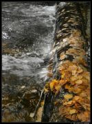 ����� ����� ����� ����� ����������