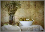 ������� ����� � �����