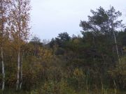 DSCF4727