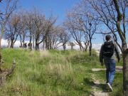 ������� ��������