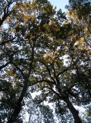 ����-�-����