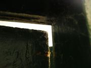 �����-�������