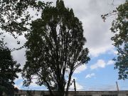 ������-��-�����