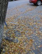 �����-������-�-������