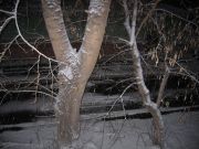IMG 5932