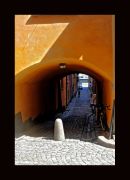 ���� ����������