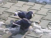 ���������2