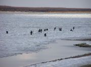 ���������22