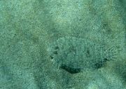 ��������� ����� -- ����� ����������!