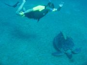 ��, �� ��������!