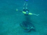 ����, �������� � ���������