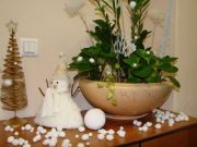 DSC03627