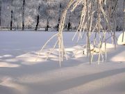 ������� ��������