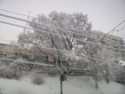 ���� �� ������������4