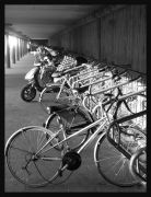 ����������� � ��������