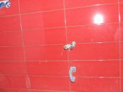 DSCF9904