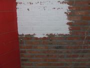 DSCF9909