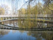IMG 7967