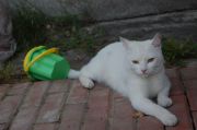 DSC 0470