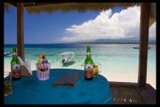 IMG 3893 copy