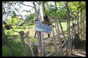 IMG 3955 copy