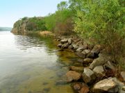 ����� ���������