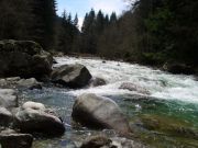 ���� �������