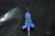 DSC 0145