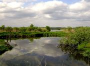 ������....