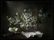 ������� �����