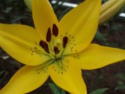 ����� �����