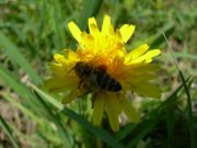 ��� � ����