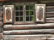 ������ ����