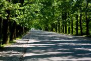 ����� ���������� 1 ����